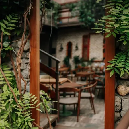 Bed Station & Bar شكودر